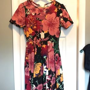 Lularoe Amelia floral size Medium
